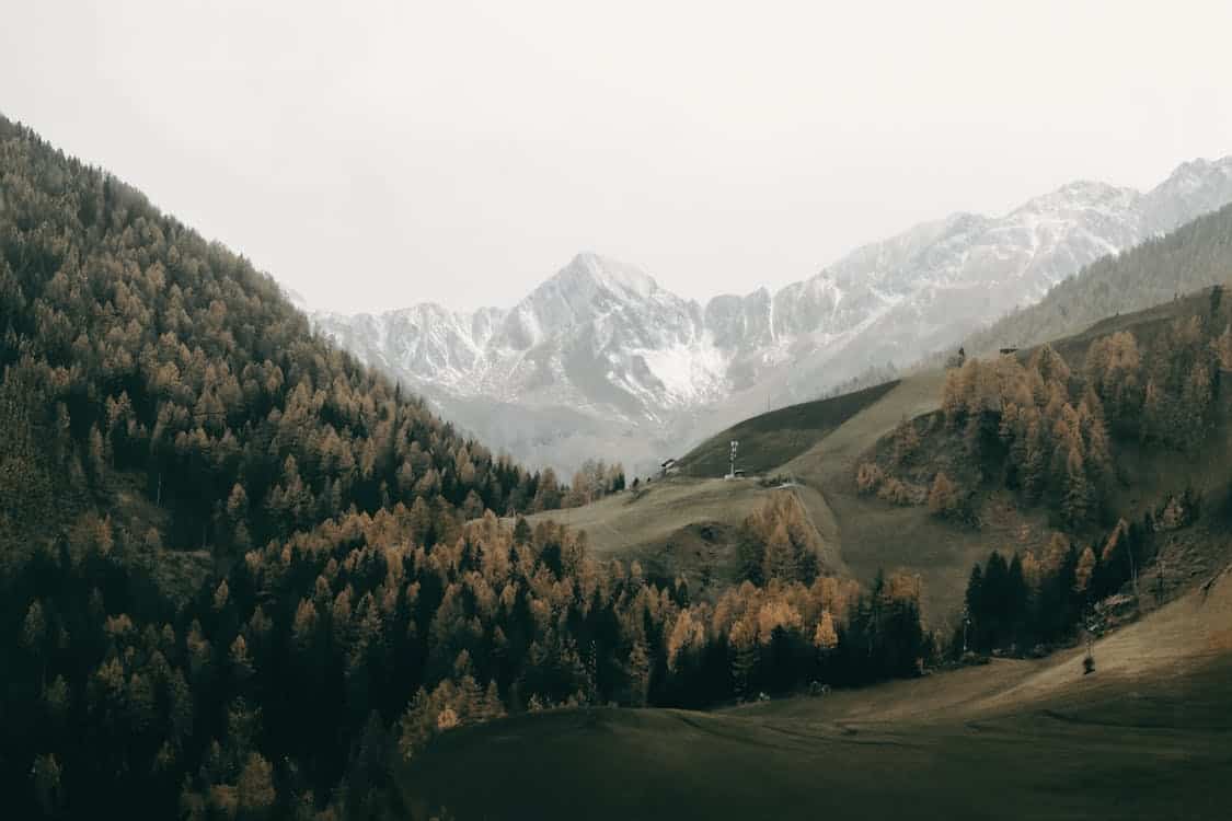 Vue panoramique de montagnes enneigées et forêt automnale.