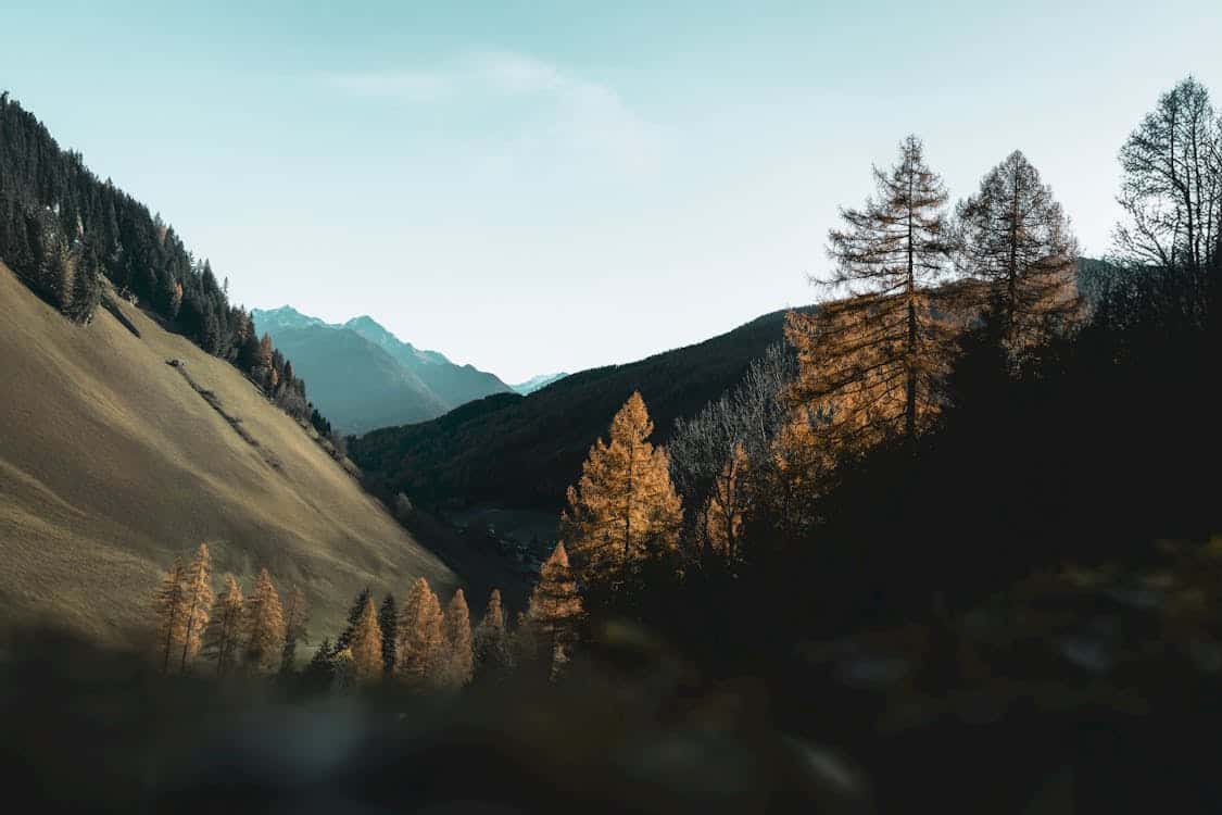 Vue panoramique de montagnes et forêts en automne.